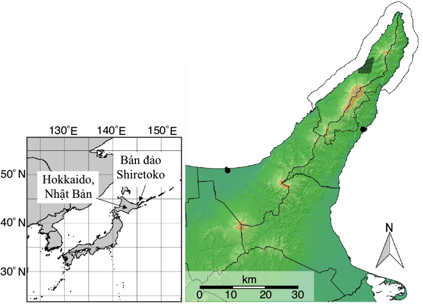 Vị trí bán đảo Shiretoko, phía bắc đảo Hokkaido của Nhật Bản. Đồ họa: Research Gate.