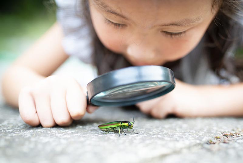 3 hành vi này “bóp nghẹt” sự tò mò của trẻ, chìa khóa thành công cần được cha mẹ bảo vệ - 1