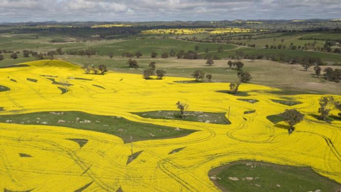 Agricultural land prices in Australia are set for a third year of solid increases in 2023. (Mick Tsikas/AAP PHOTOS)