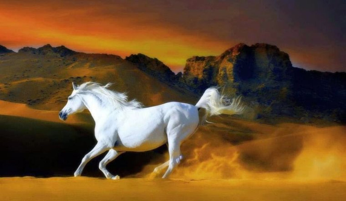 Cuoi thang 4 dau thang 5, 3 con giap lam nen chuyen lon-Hinh-8