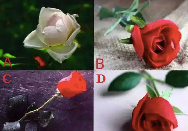Trắc nghiệm tâm lý: Bạn nghĩ bông hồng nào là thật? - 1