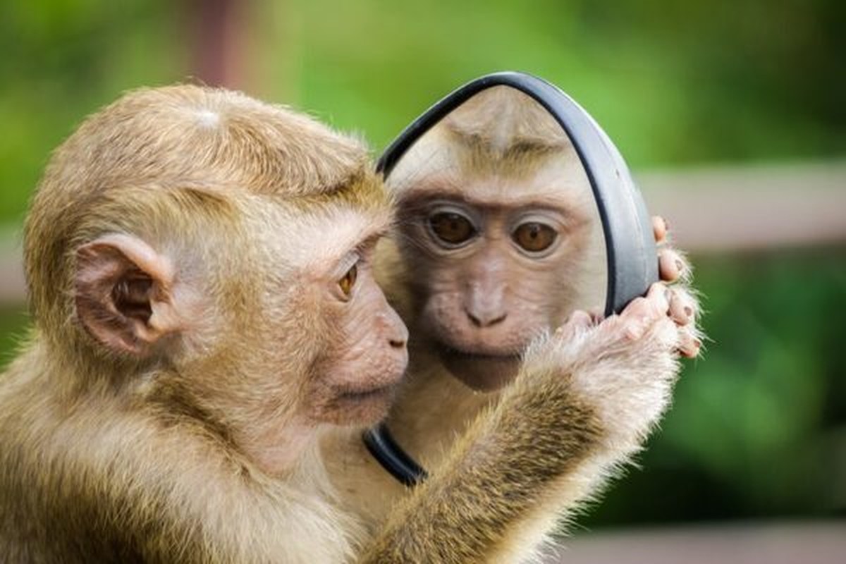 Nghề tay trái hái vàng, 3 con giáp kiếm bộn tiền 6 tháng tới - Hình 3 Nghe tay trai hai vang, 3 con giap kiem bon tien 6 thang toi-Hinh-3