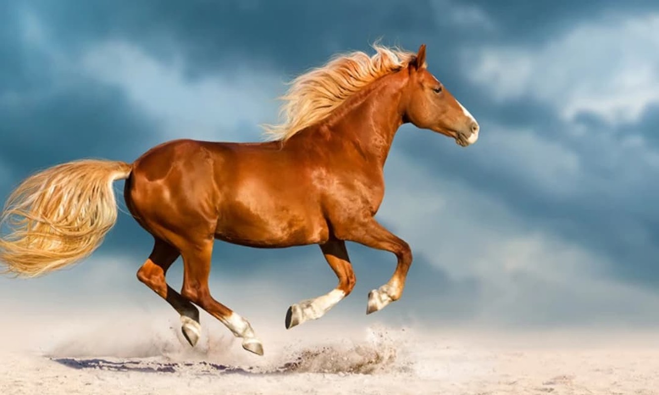 4 con giap 'chuot sa chinh gao', dai van tim den thang 3 am-Hinh-8