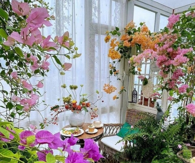 Ngày càng nhiều người không trồng hoa giấy ở ban công, sau khi thấy phòng khách của người trẻ, tôi thực sự kinh ngạc - 1