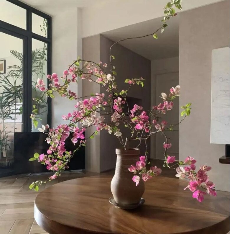Đặt một chậu hoa giấy trên một chiếc bàn gỗ cổ điển, tạo nên một không gian vừa thanh lịch vừa sang trọng. 