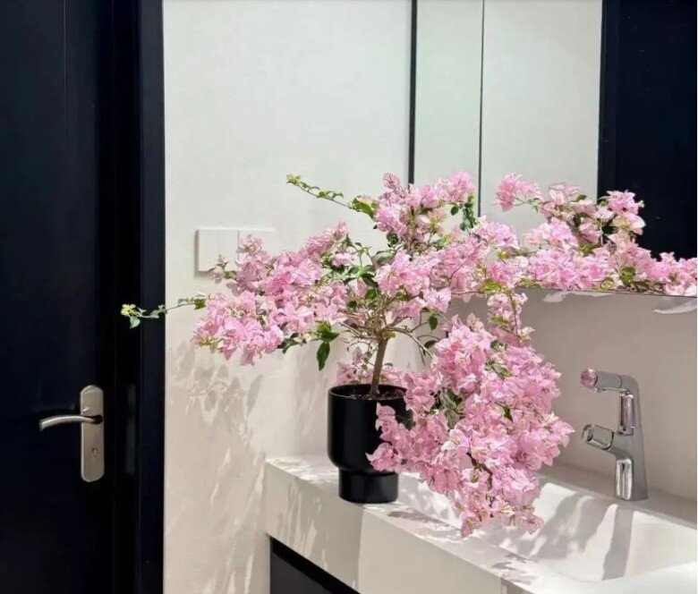 Sự kết hợp giữa màu sắc tươi sáng của hoa và thiết kế đen trắng của tủ phòng tắm tạo nên một không gian nổi bật và ấn tượng. Hoa giấy không chỉ làm cho phòng tắm trở nên sinh động hơn mà còn thu hút ánh nhìn của mọi người.