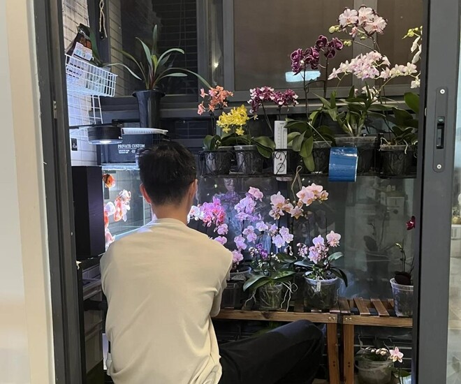 Chàng trai này đã trồng lan hồ điệp được nhiều năm.