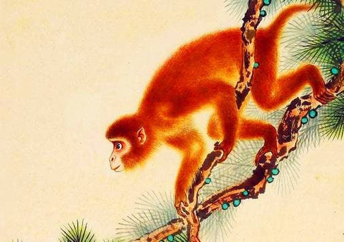 5 con giáp Ngọc Hoàng chấm tên trong sổ vàng, giàu nhất tuần này - Hình 3 5 con giap Ngoc Hoang cham ten trong so vang, giau nhat tuan nay-Hinh-3