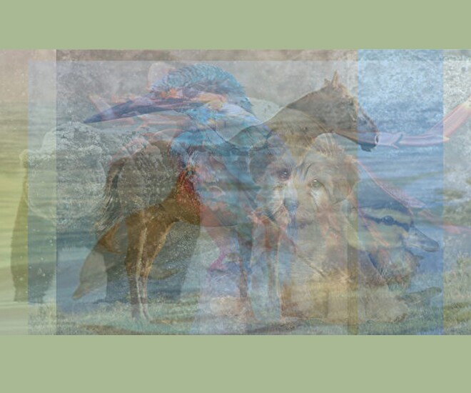 Trắc nghiệm tâm lý: Bạn đã nhìn thấy con vật gì đầu tiên? - 1