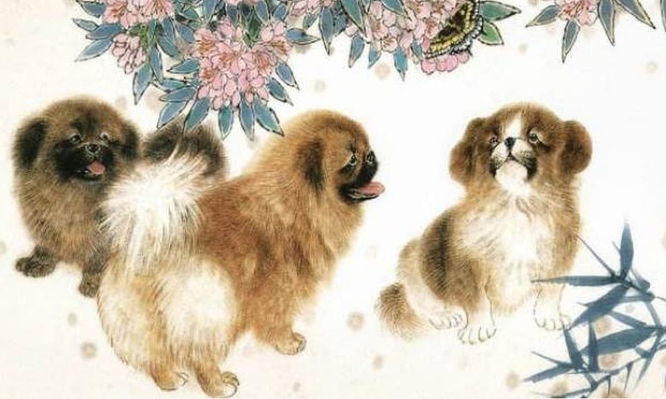 Nam Ran 2 dau 2025, tuoi Dau tranh ket hop voi nhung tuoi nao?-Hinh-2