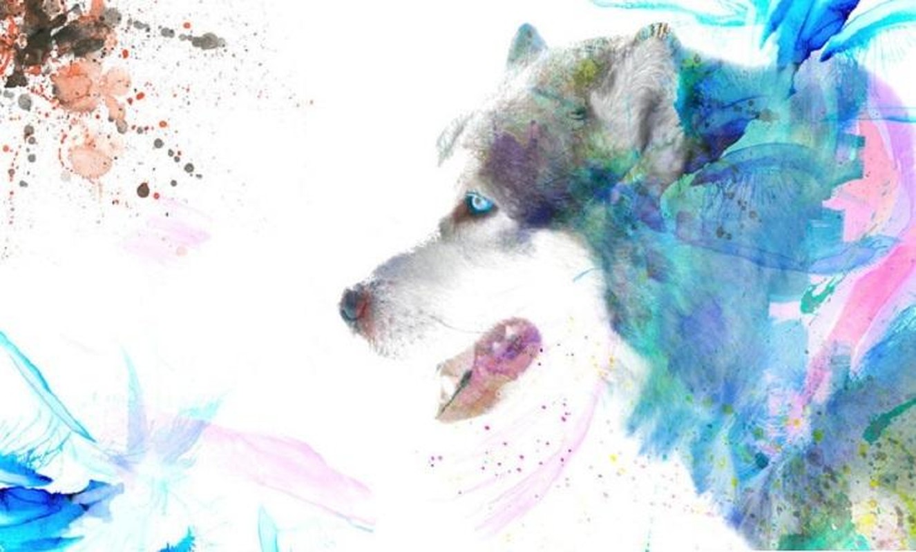 Top 4 con giap san sang chi tien cho vo ma khong can nghi-Hinh-4