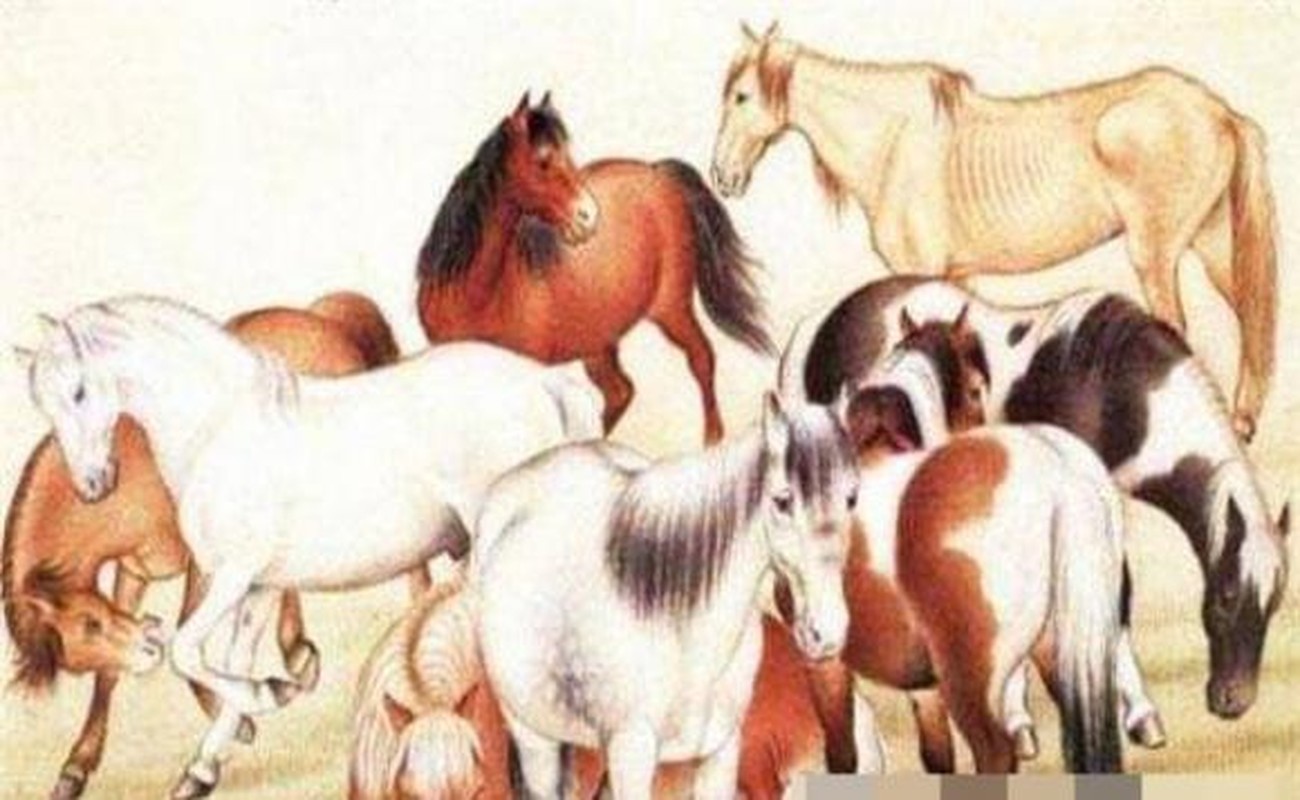 Co phuc co phan, 3 tuoi kiem tien ty 10 ngay toi-Hinh-9