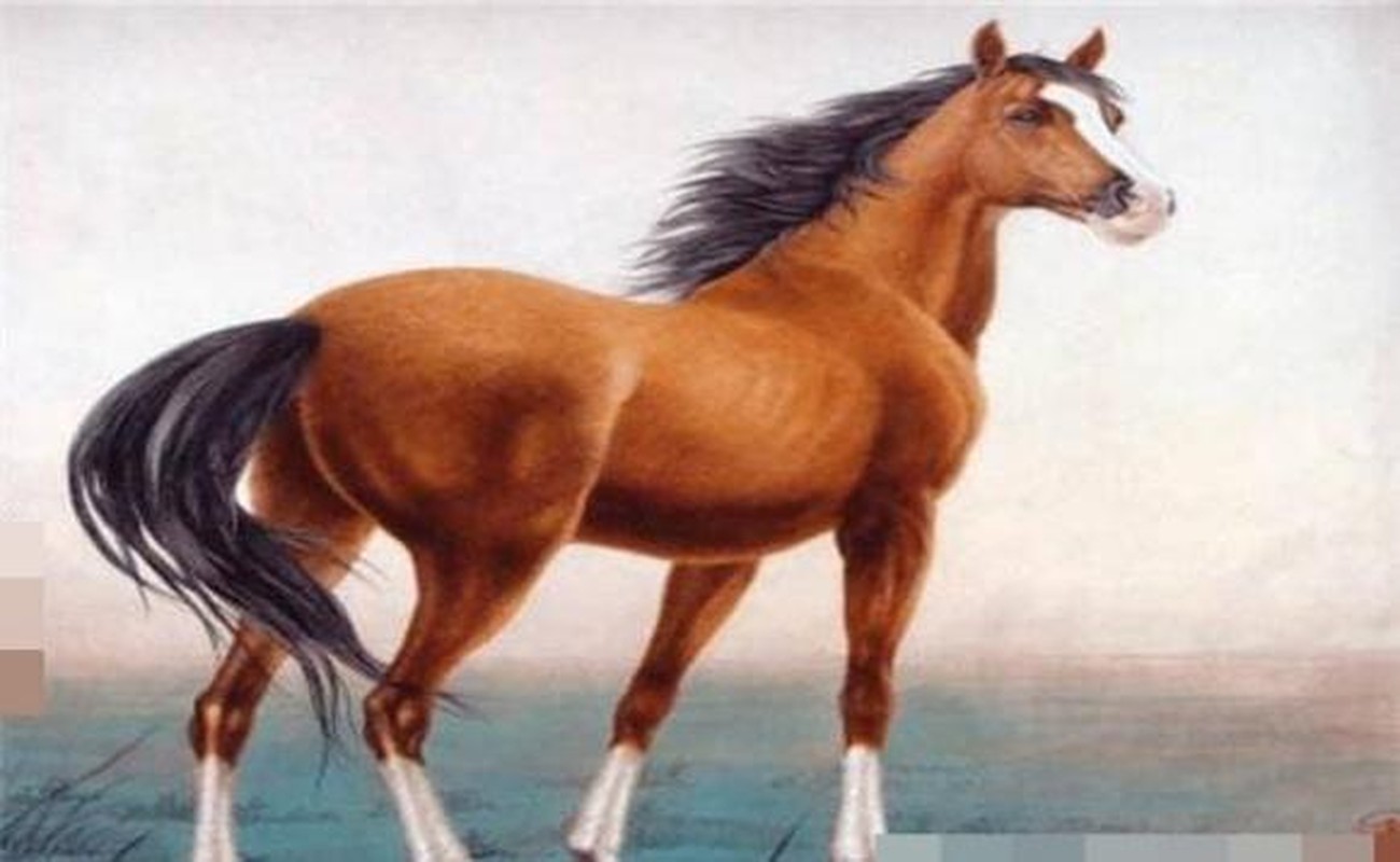 Co phuc co phan, 3 tuoi kiem tien ty 10 ngay toi-Hinh-10