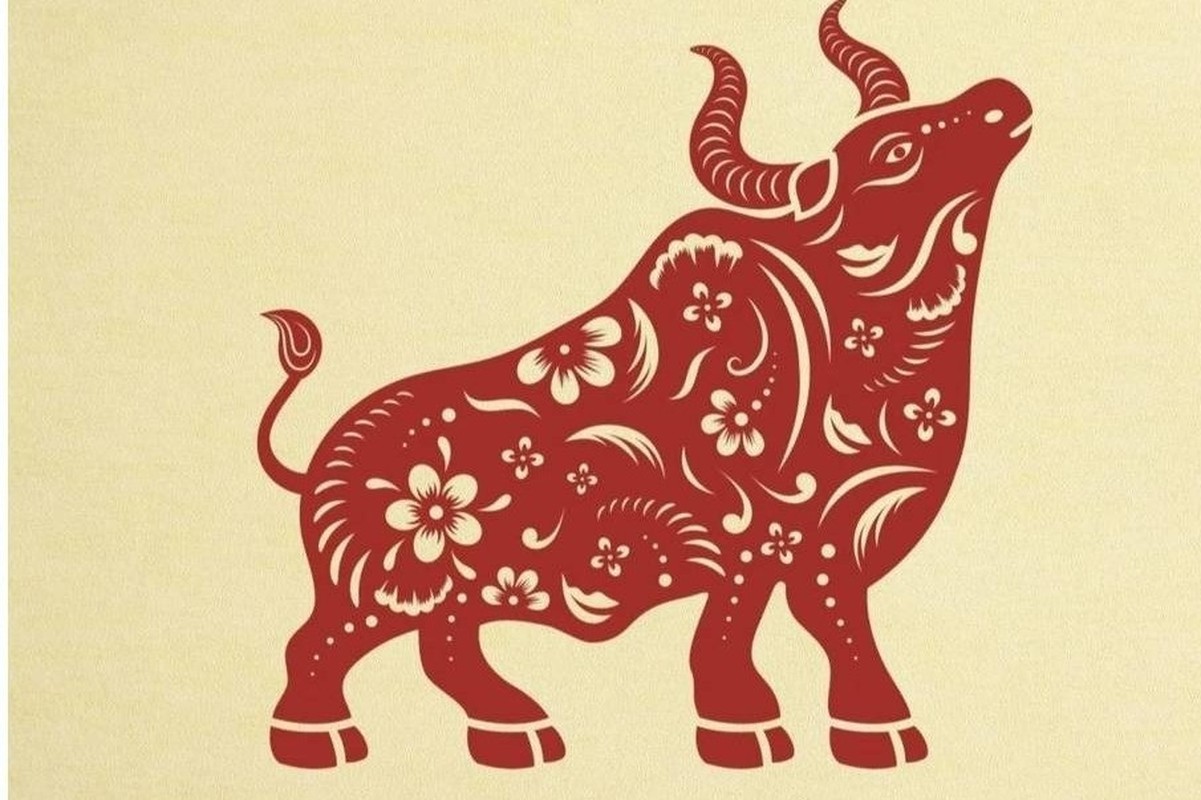 Phuc loc den muon, 3 tuoi gia moi giau, tien nhieu nhu nuoc-Hinh-2