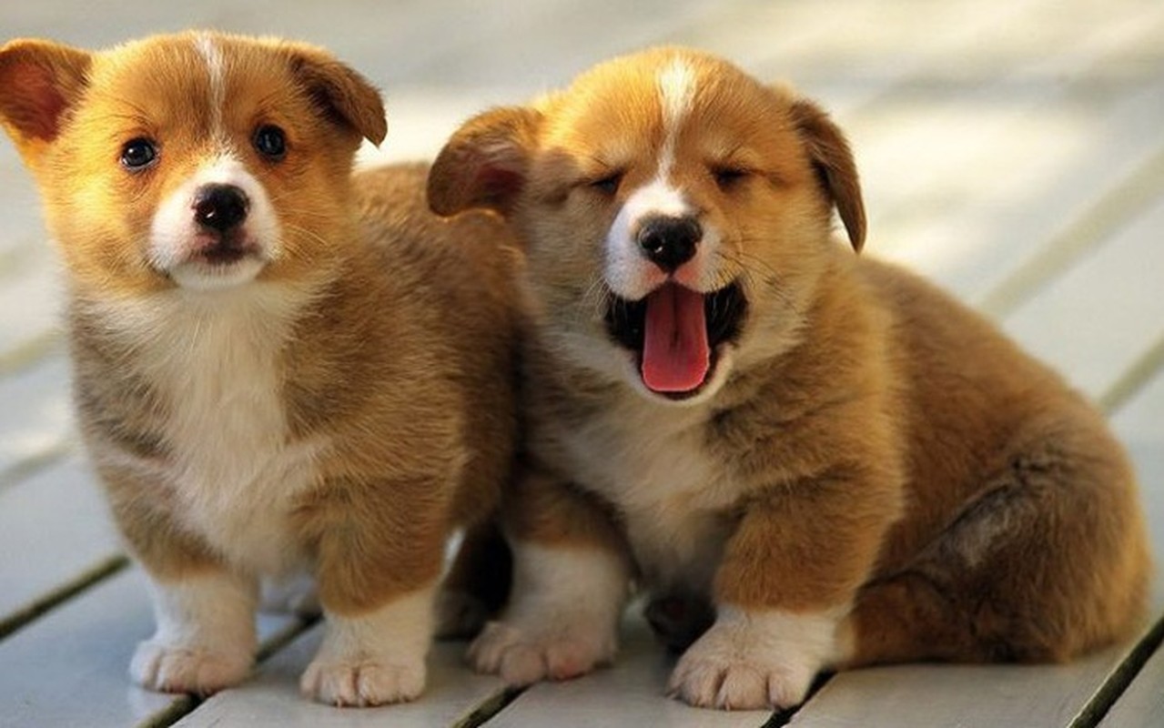 May man tai loc thang 4 Am, con giap nao tien ty ve tay?-Hinh-12