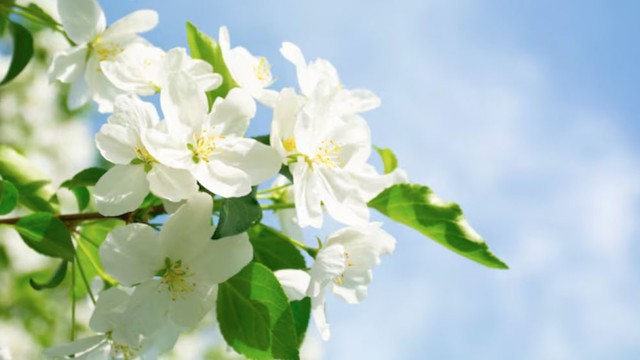 Những người sinh ngày 9, 19 hay 29 Âm lịch khi đã xác định được người mình yêu sẽ theo đuổi đến cùng, bất chấp khó khăn hay thử thách. Ảnh minh họa