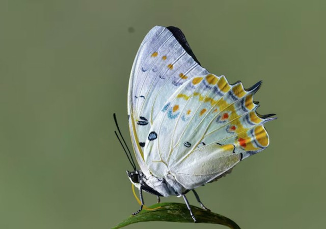 Sự nghiệp của người sinh vào giờ sinh Ngọ thường có bước tiến mạnh mẽ khi bước vào trung niên, lúc kinh nghiệm và bản lĩnh đã đủ đầy. Ảnh minh họa