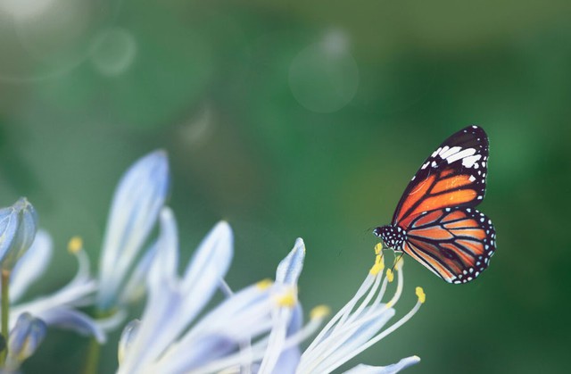 Từ tuổi trung niên trở đi, vận may của người sinh ngày 18 và 19 Âm lịch thường rõ rệt hơn. Ảnh minh họa