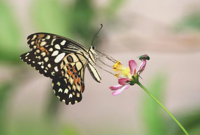 Khi đã tích lũy đủ kinh nghiệm, người sinh ngày 28 Âm lịch dễ đạt được thành tựu lớn, tài chính vững vàng và cuộc sống an nhàn. Ảnh minh họa