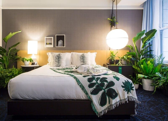 Đừng để cây gây cảm giác bí bách hoặc quá nhiều cây trong một không gian nhỏ, điều này có thể làm giảm chất lượng không khí và ảnh hưởng đến giấc ngủ của bạn.