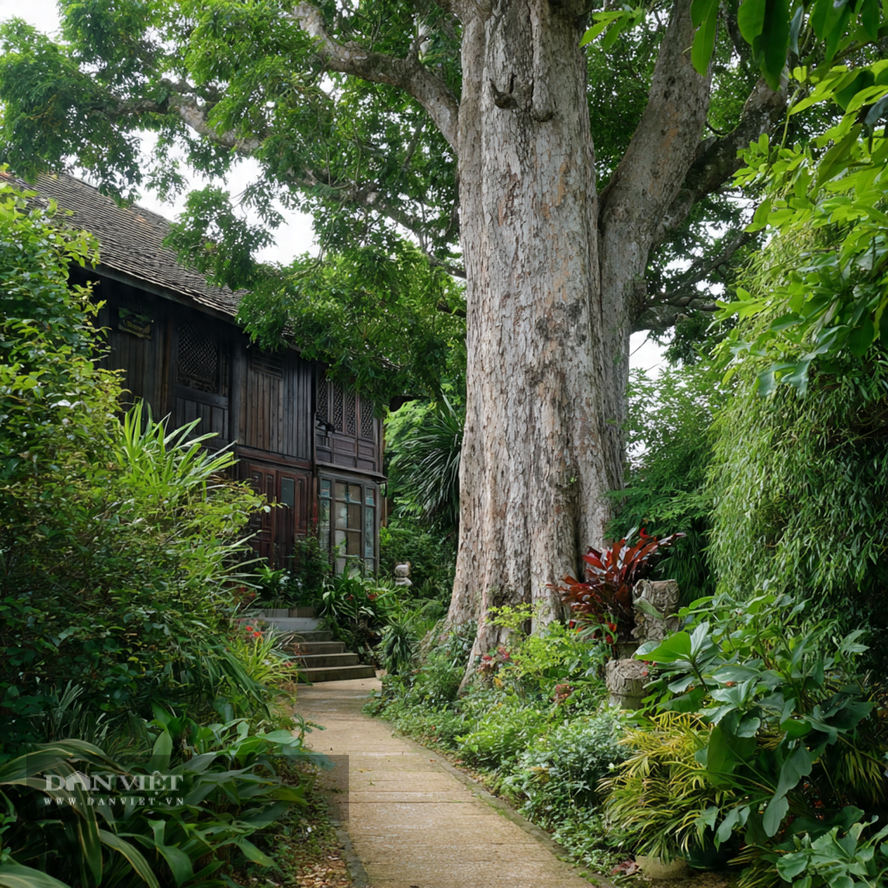 Người xưa dặn: Trồng trầm hương trong sân, gia đình có kho báu