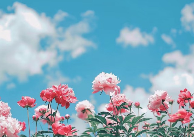 Những người sinh vào ngày Âm lịch này thường mang nguồn năng lượng dồi dào, nhiệt huyết. Ảnh minh họa