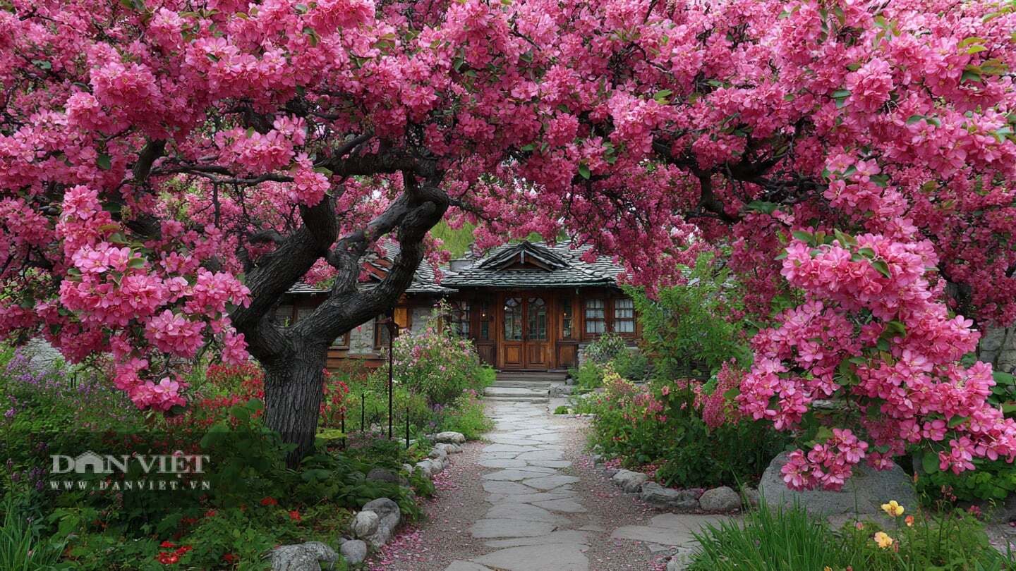 Người xưa rất coi trọng việc trồng cây trong sân vườn