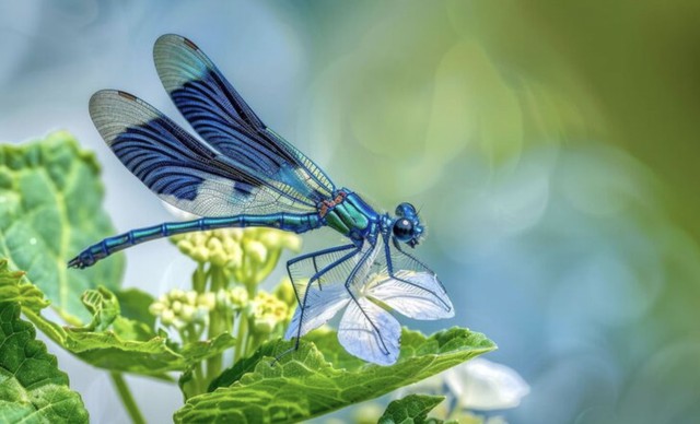 Những người phụ nữ sinh tháng 12 Âm lịch thường hòa đồng, hào phóng và biết cách tạo thiện cảm. Ảnh minh họa