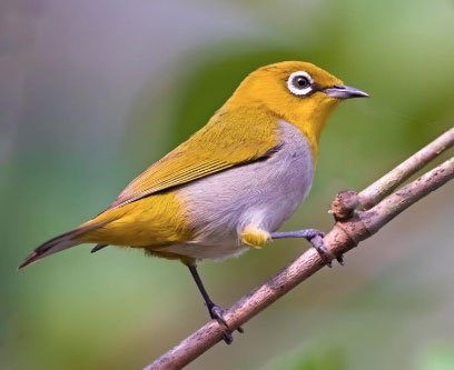 Bước sang tuổi trung niên, sự lạc quan và thái độ sống tích cực giúp người sinh vào các ngày 6, 16 hoặc 26 Âm lịch gặt hái thành quả rõ rệt. Ảnh minh họa