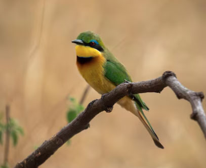 Đến tuổi trung niên, kinh nghiệm tích lũy cùng bản lĩnh vững vàng giúp người sinh vào các ngày 8, 18 hoặc 28 Âm lịch khôi phục vị thế và tiếp tục phát triển mạnh mẽ. Ảnh minh họa