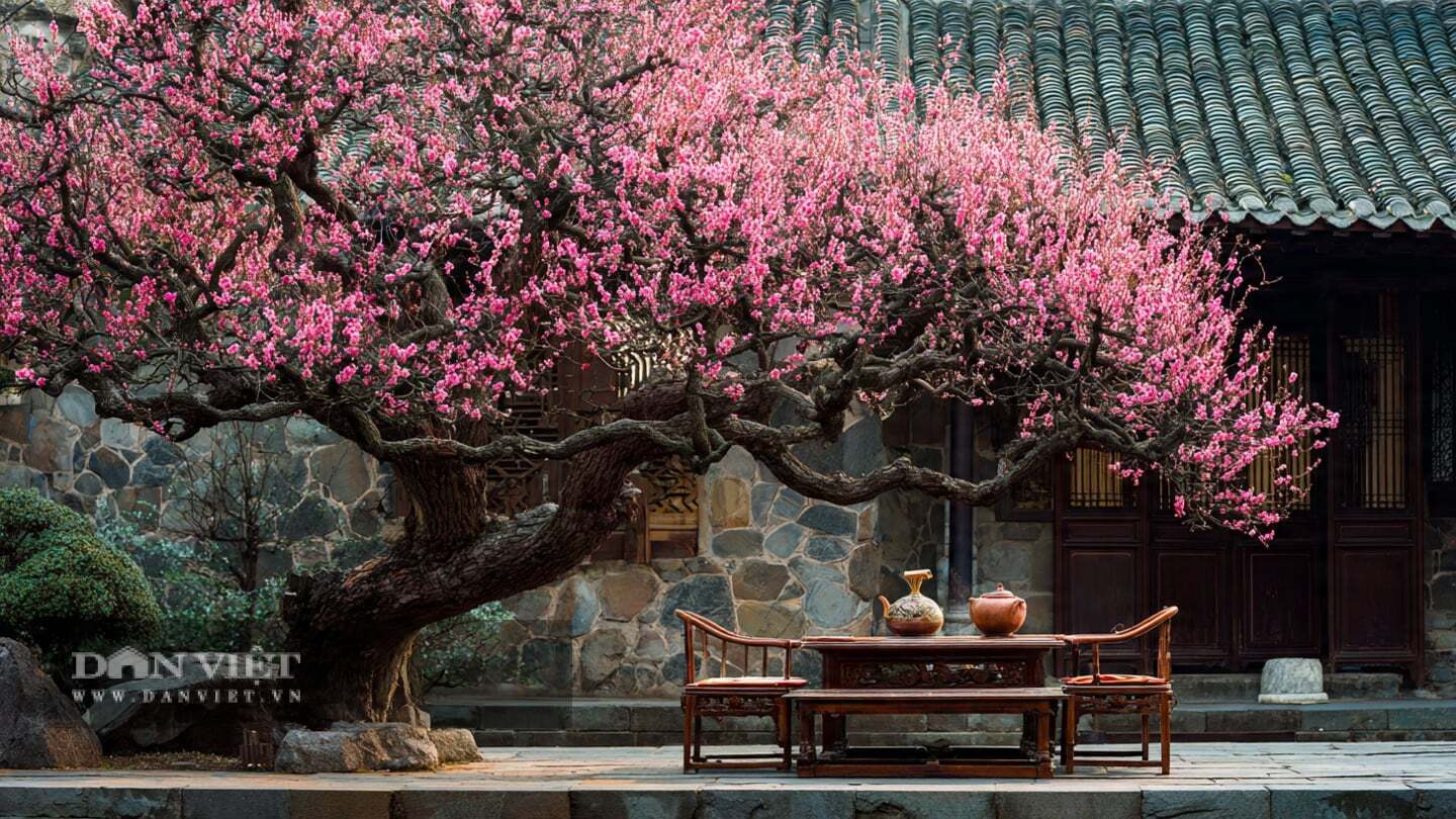 Người xưa rất coi trọng loài hoa này