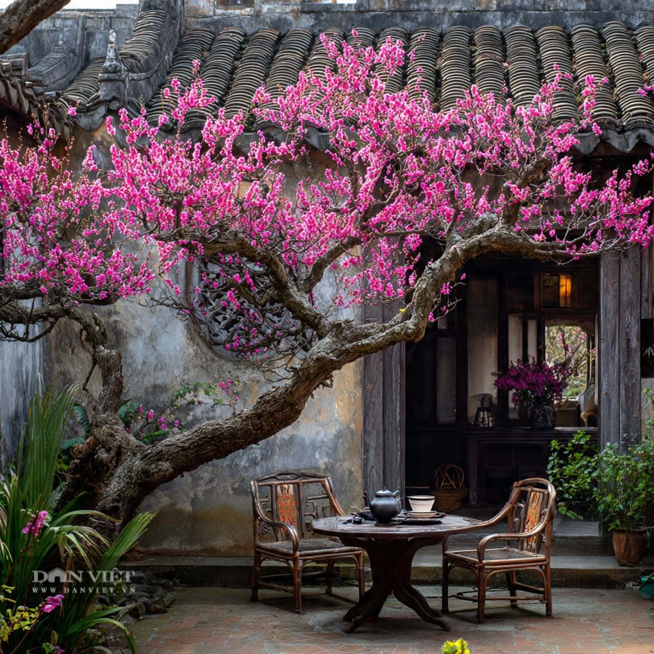 Người xưa đặc biệt yêu thích hoa mơ mai vì chúng tượng trưng cho vị đắng tiếp nối vị ngọt.