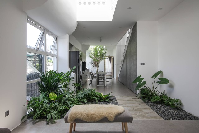 Cây xanh trong nhà thường hay héo úa dù chăm sóc tốt thì cần xem lại phong thủy nhà. Ảnh TL