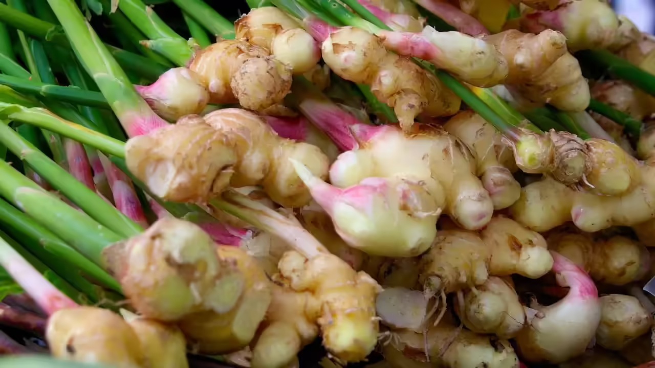 8 amp;#34;siêu thực phẩmamp;#34; trồng ngay trong nhà: Có loại hay bị nhổ bỏ nhưng lại giàu dưỡng chất bất ngờ - 2