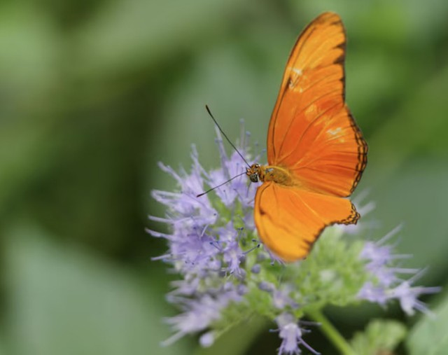 Sau 40 tuổi, sự kiên trì của người sinh vào ngày 12 hoặc 14 Âm lịch mở ra nhiều cơ hội thăng tiến đáng kể. Ảnh minh họa