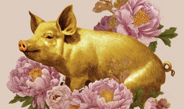 Con giáp Hợi sinh vào giờ Thìn cuộc đời ít phải lo lắng chuyện tiền bạc. Ảnh minh họa