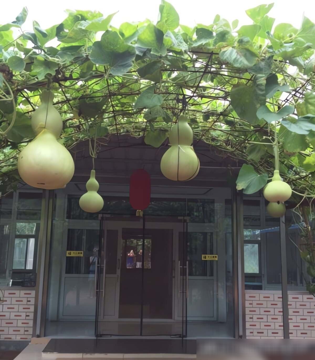 Theo người xưa, hồ lô được cho là có tác dụng xua đuổi tà ma, trấn trạch hóa sát. Ảnh minh họa Toutiao