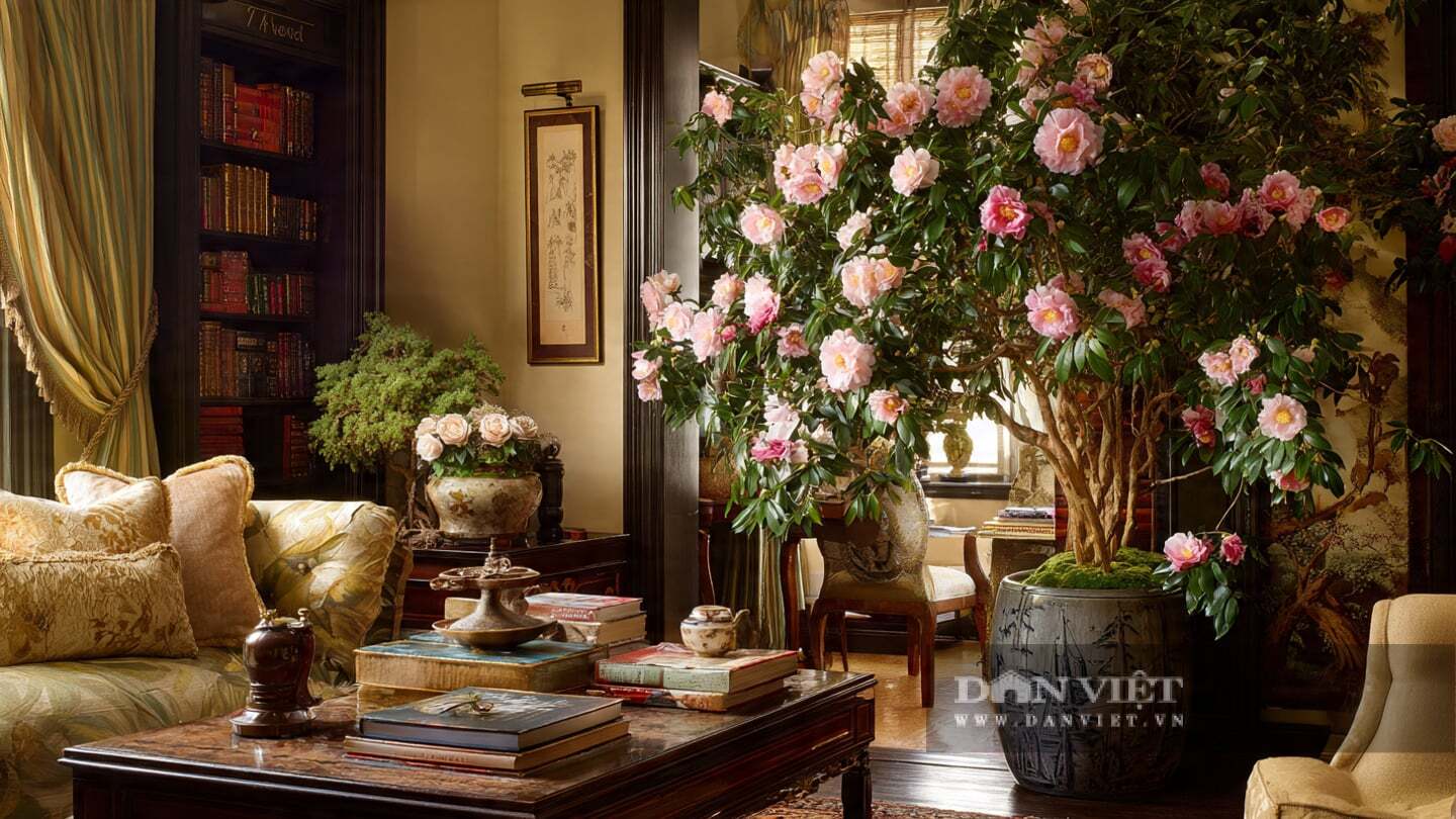 Hoa trà không chỉ đẹp mà còn sống rất lâu.