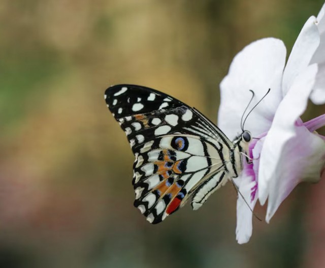 Sự kiên trì và bản lĩnh giúp những người sinh vào ngày 11 và 17 Âm lịch không bị hoàn cảnh vùi dập. Ảnh minh họa