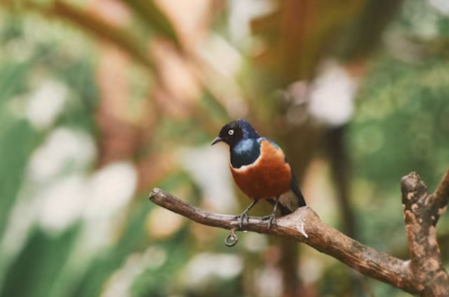 Nhờ quá trình tích lũy kinh nghiệm không ngừng, hiệu quả công việc của người sinh vào tháng 11 Âm lịch ngày càng được nâng cao. Ảnh minh họa
