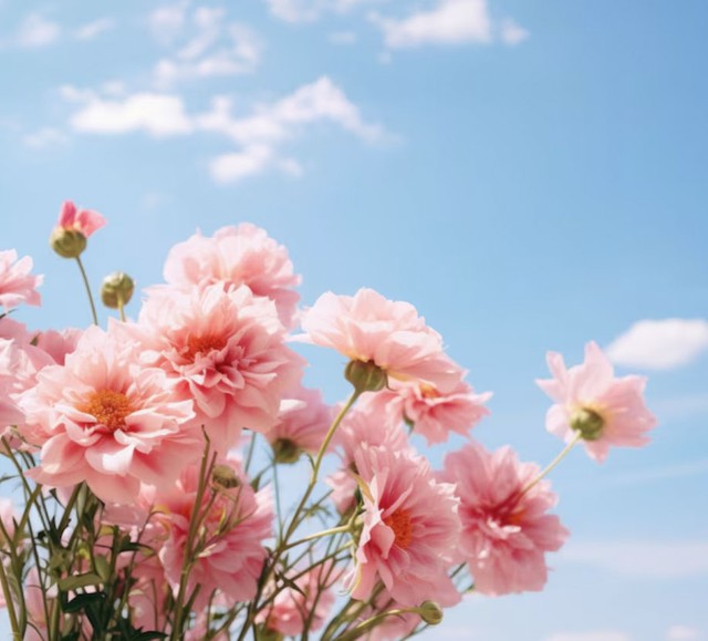 Cuộc đời của những người sinh vào giờ Thìn Âm lịch thường được trải thảm bởi nhiều cơ hội tốt, lại thêm quý nhân đồng hành nên dễ đạt được thành công. Ảnh minh họa