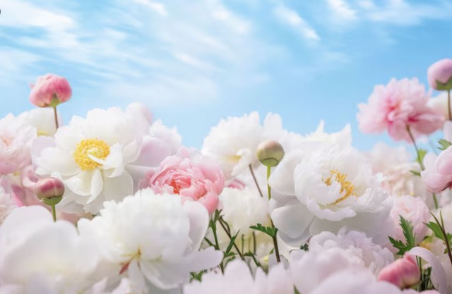 Người sinh giờ Tý Âm lịch có khả năng gây dựng cơ ngơi vững chắc. Ảnh minh họa