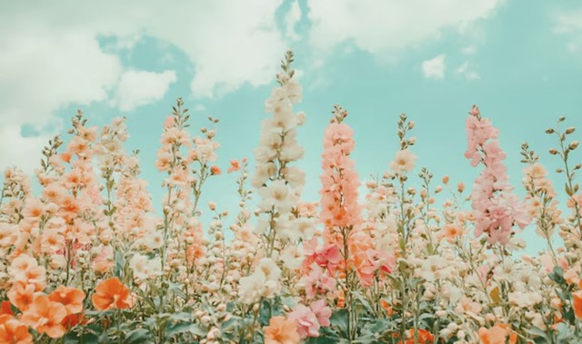 Về hậu vận người sinh giờ Tuất Âm lịch sẽ đạt được thành quả đáng kể, tài chính ổn định và bền vững. Ảnh minh họa