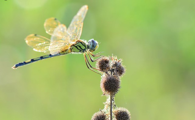 Nhờ tính cách cởi mở, sẵn sàng giúp đỡ người khác, người sinh tháng 6 Âm lịch thường nhận lại sự yêu quý và hỗ trợ từ bạn bè, đồng nghiệp. Ảnh minh họa