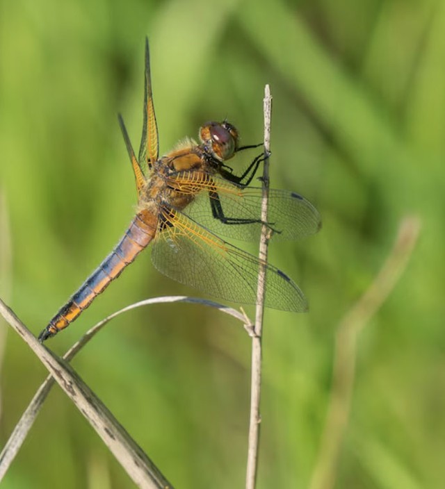 Trong các mối quan hệ hợp tác, người sinh tháng 10 Âm lịch thường là người để lại ấn tượng sâu sắc nhờ sự chân thành và thái độ cầu tiến. Ảnh minh họa