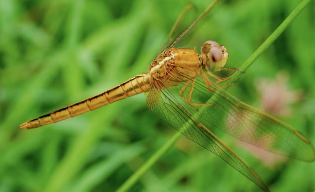 Nhờ sự chín chắn và cách ứng xử khéo léo, người sinh tháng 12 Âm lịch dễ dàng xây dựng các mối quan hệ bền vững. Ảnh minh họa