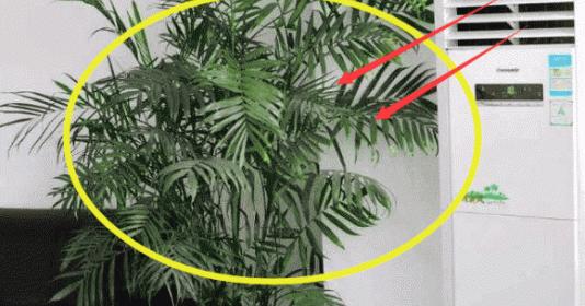 Thầy phong thủy nhắc nhở không đặt điều hòa ở 4 vị trí này-3