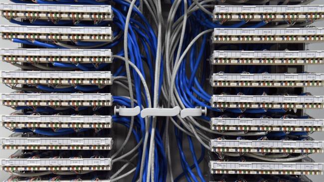 Labor is being urged to appoint a digital economy minister to oversee and expand the tech sector.