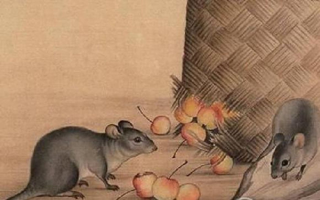 Troi dinh so giau, 3 con giap ca doi ngap trong tien vang-Hinh-8