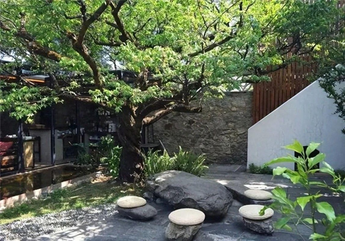 6 cay am vao nha, gia dinh khong ngheo cung kho-Hinh-19